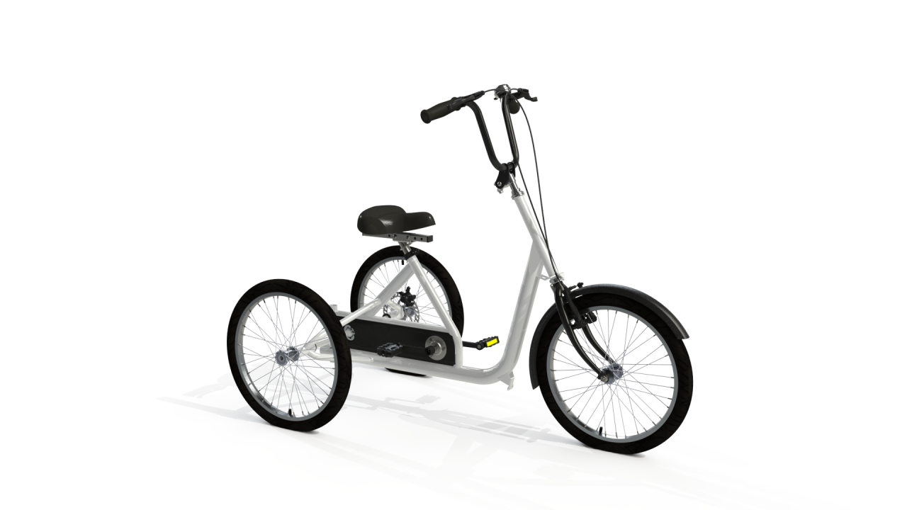 Tomcat Skool Cat Trike